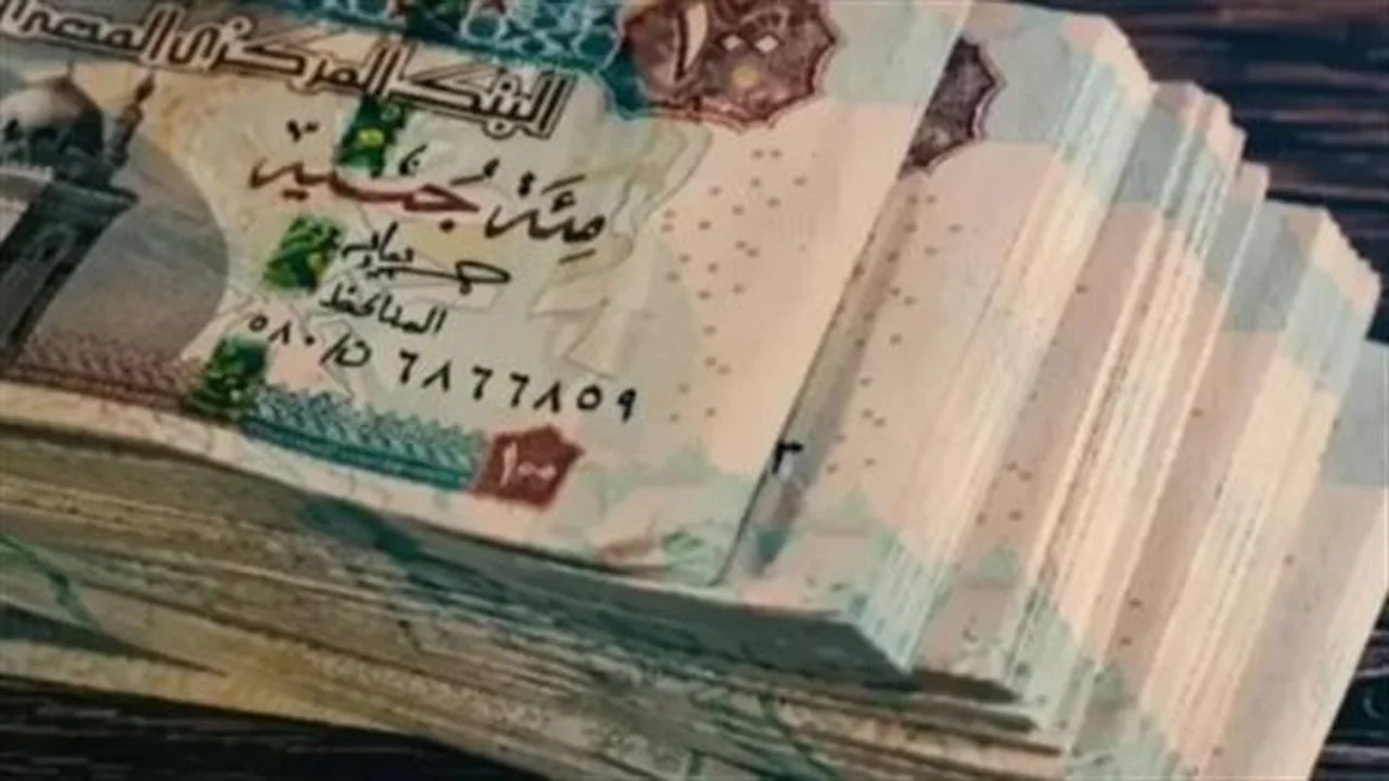 رابط الاستعلام.. خطوات التأمينات لفحص معاشات مايو عبر الرقم القومي للمستفيدين